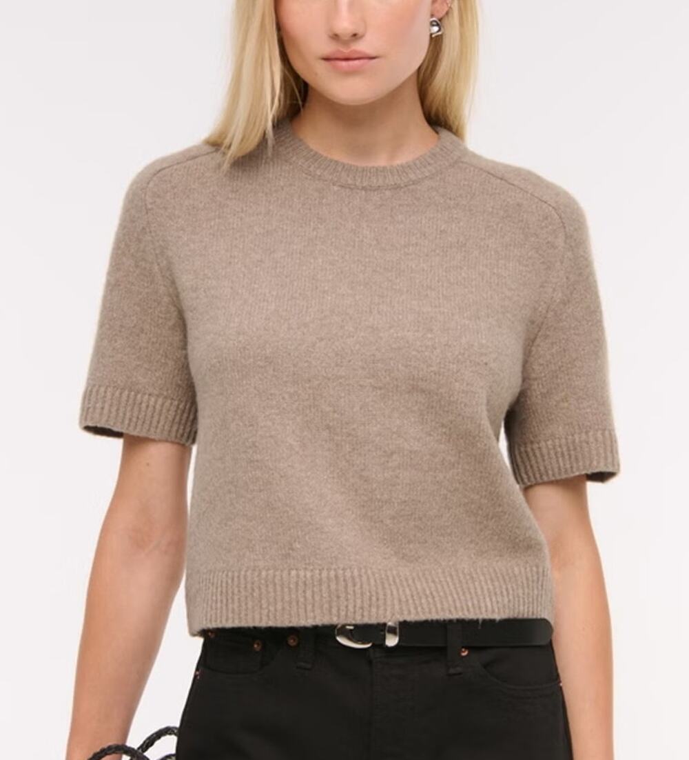 Abercrombie & Fitch Short Sleeve CrewNeck Knit Sweater Tee S Brown Minimal Fall